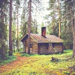 chalet-bois