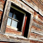 wood