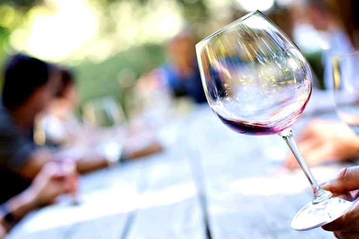 Wine testing tours on French Riviera