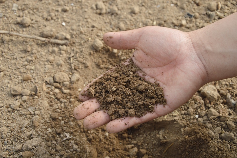 Compost : et si vous le faisiez vous-même ?