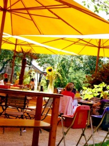 voile d'ombrage jardin
