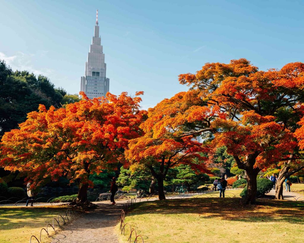 Parc Shinjuku Gyoen