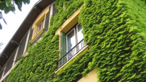 N'attendez pas pour faire les diagnostics de votre maison