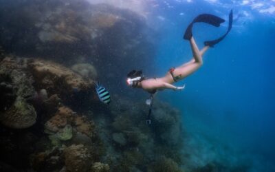 Les meilleures destinations de plongée sous-marine pour les amateurs de sports subaquatiques