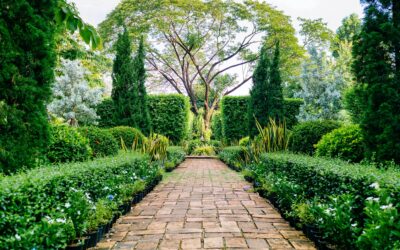 Comment créer un jardin paysager magnifique et facile à entretenir ?