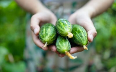 Comment les entreprises peuvent-elles répondre à la demande croissante de production locale ?