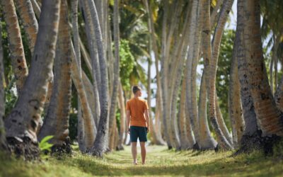 Les destinations les plus éco-responsables pour voyager en toute conscience