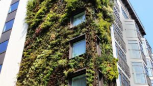 immeuble vert