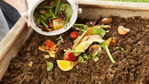 compost dans un jardin
