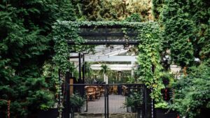 intégration de plante dans la décoration