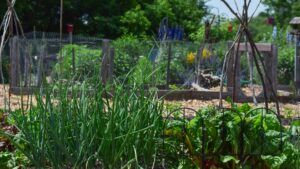 jardin des sens