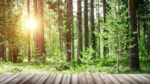 Vacances en pleine nature