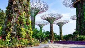 Singapour
