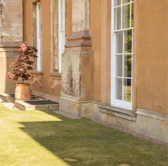 From Vision to Reality: How to Elevate Your Wedding Planning Services ?